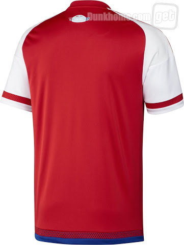 百年美洲杯是金色图片,百年美洲纪念杯图片