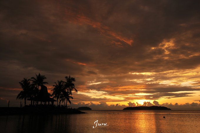 【一只熊的冒险】薄荷色夏日梦，马来西亚沙巴亚庇仙本那历险记——敦沙卡兰海洋公园（完）