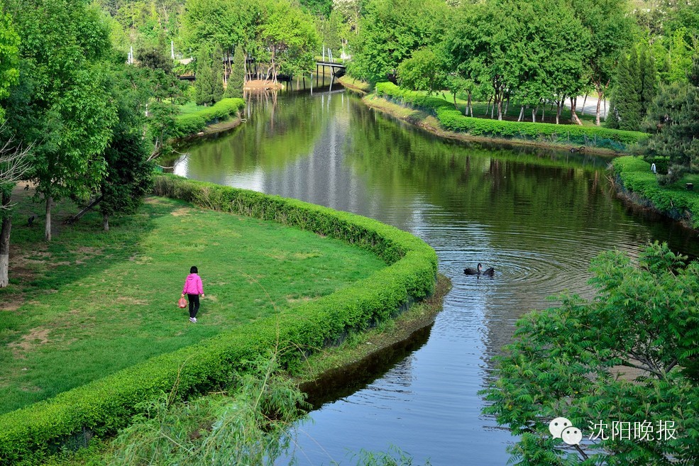 沈阳最漂亮的十大美人,沈阳女孩最漂亮的照片