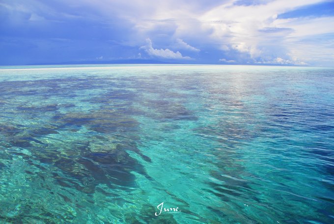 【一只熊的冒险】薄荷色夏日梦，马来西亚沙巴亚庇仙本那历险记——敦沙卡兰海洋公园（完）