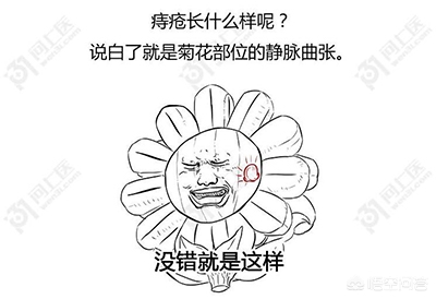 痔疮怎么分辨是内外痔和混合痔,痔疮如何分辨内外痔