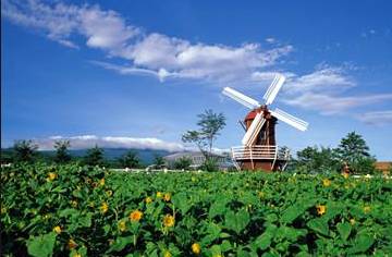 济州岛一个人旅行攻略,济州岛四月攻略