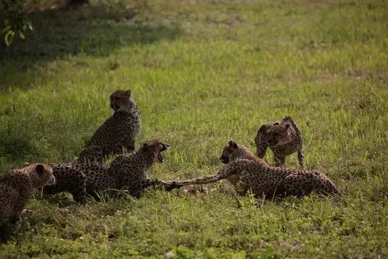 上海2020年学生放假通知,再上六天班就要集体放假