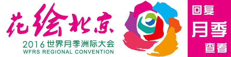 大兴安装摄像头,大兴新增摄像头位置