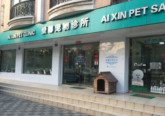 妙手仁心救我狗命锦旗,妙手仁心宠物医院