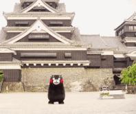 36万！全家北欧11日游！南昌这女子太壕了……