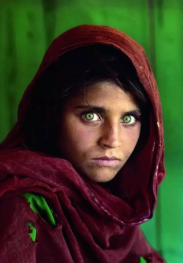 尼康十大经典相机,尼康百年兴衰成功案例