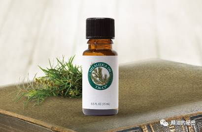女性必备的精油排行榜前十名,女人三样必备品