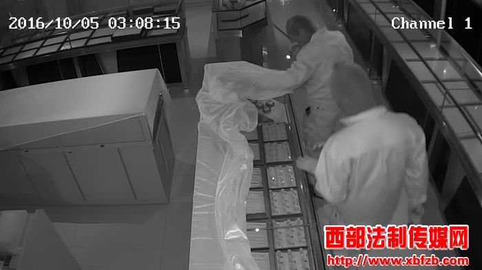 丹凤黄金盗窃案,商场金店被盗事件