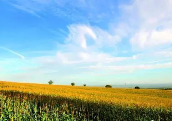 尼康十大经典相机,尼康百年兴衰成功案例