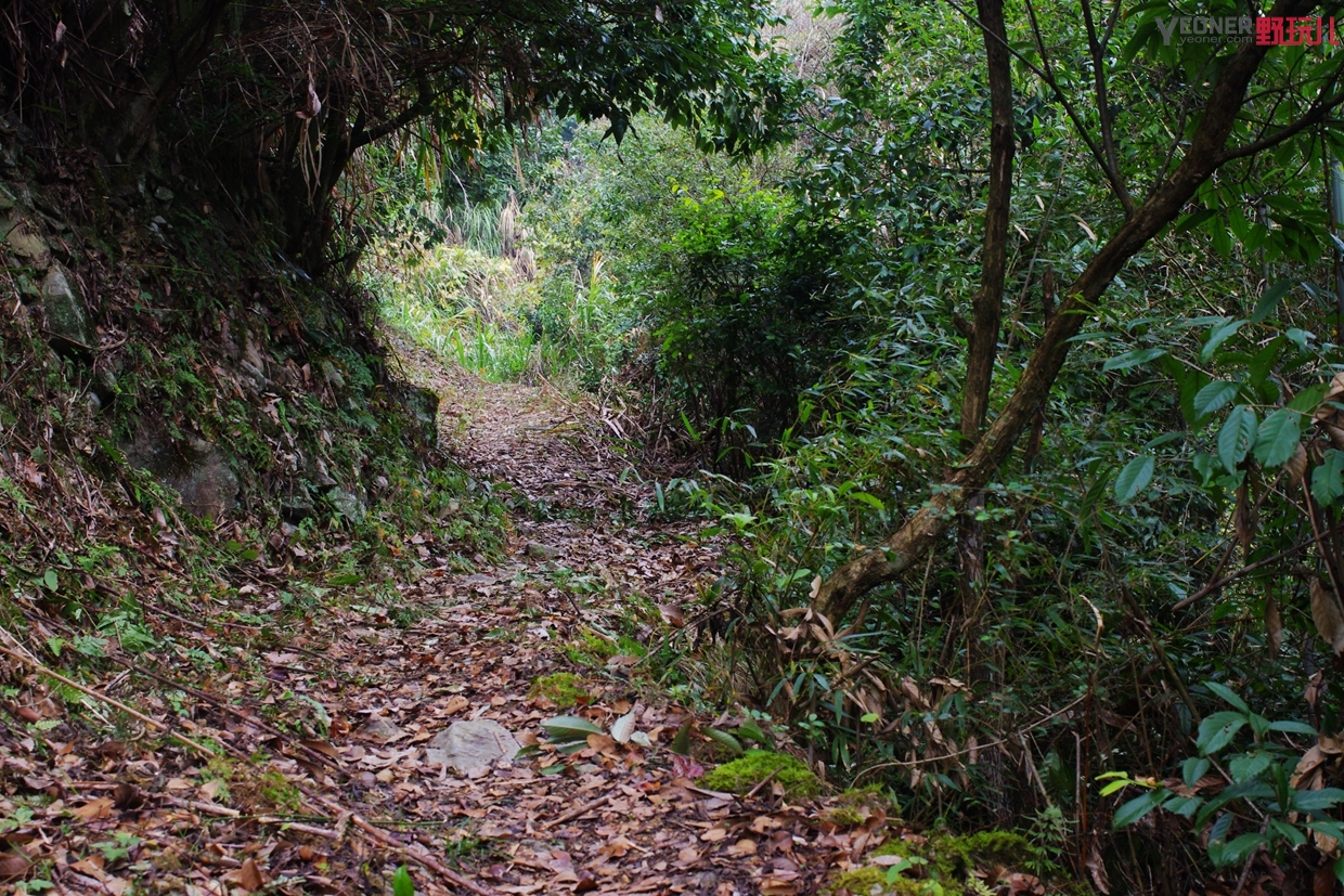 thenorthface营地鞋穿搭,thenorthface越野徒步鞋评测