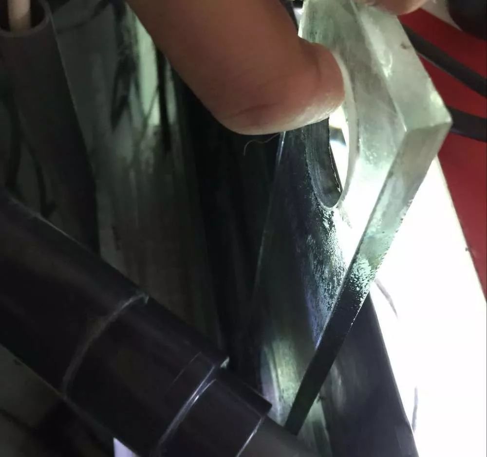 历时4个月，亲手做的缸终于运行！