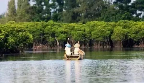 2017难忘的回忆完整,难忘的海口记忆