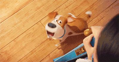 去年没放过鸡,今年这些品牌又开始虐狗了