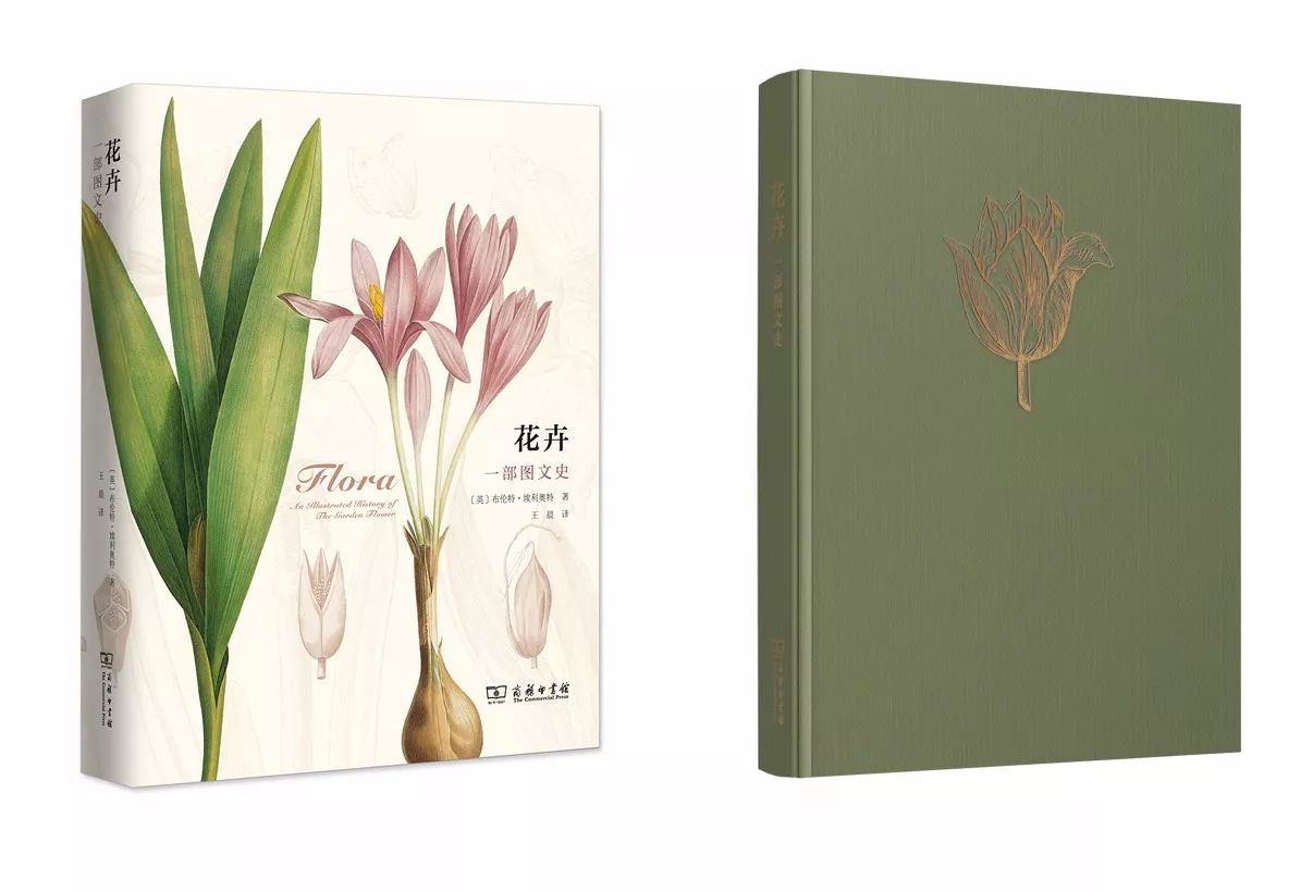 2020年不可错过的100本经典文学,最近不容错过的30种新书你看了吗