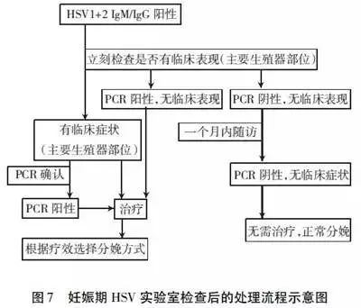 孕早期torch是不是必查,孕期32周dic筛查