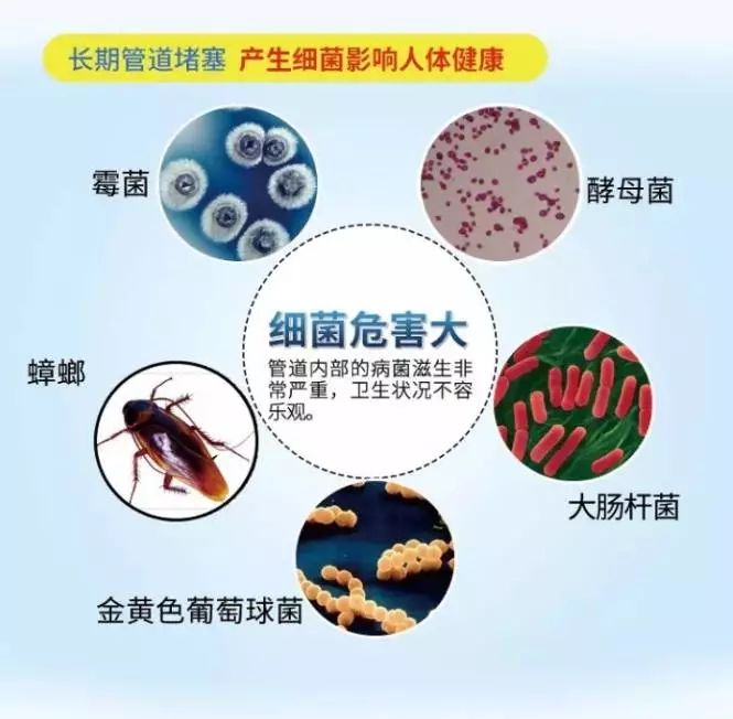 日本管道疏通剂强力疏通下水道,日本进口厨房管道疏通剂