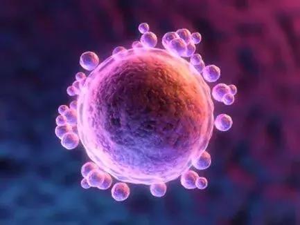 关于试管婴儿的这些问题你必须知道！