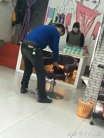 男子虐待狗狗后续,男子疑虐待自家宠物狗