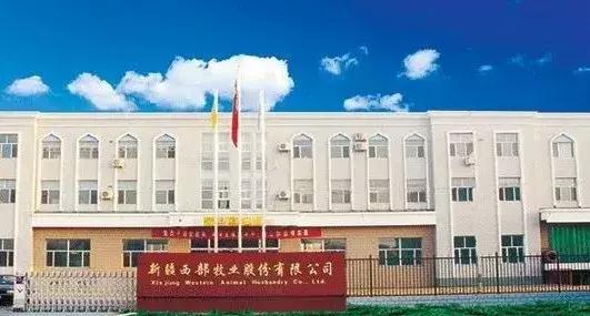 收购收来大量应收账款和预付账款，西部牧业被拖垮，恐连续亏损