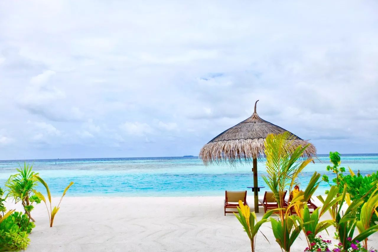 马尔代夫选岛攻略教你如何比别人省下5万块！