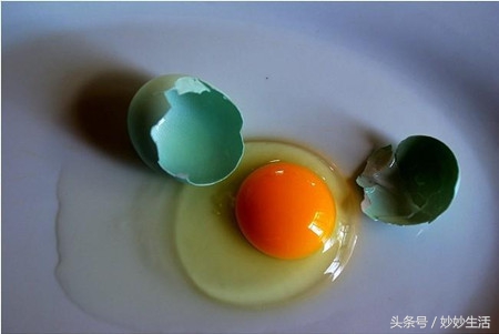 粉壳蛋好还是红壳蛋好,粉壳鸡蛋与普通鸡蛋的区别