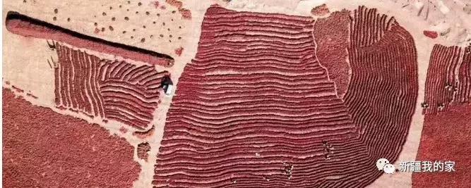 新疆新型城市,新疆刚建立的南疆城市