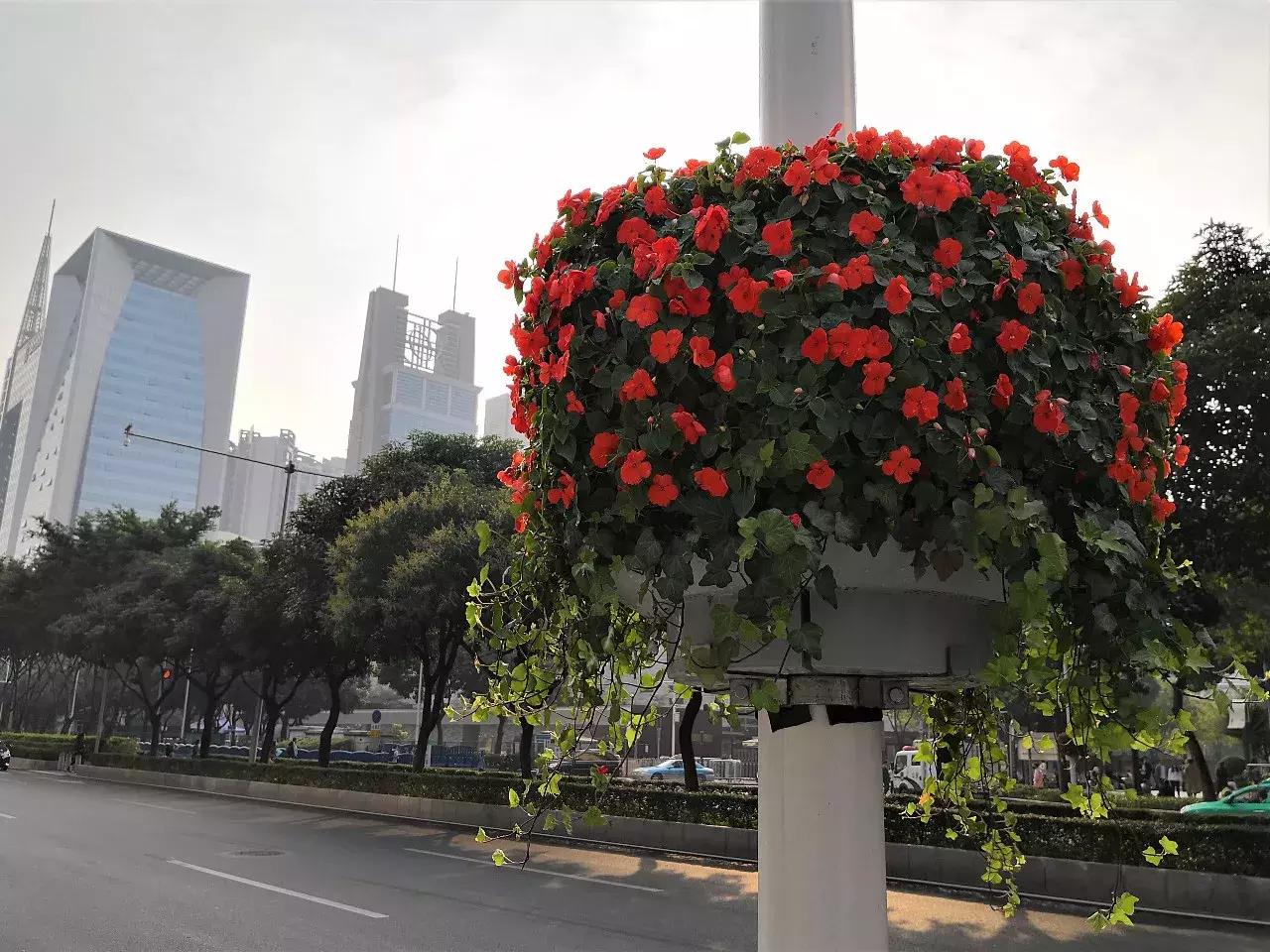 小白测评华为mate10续航排名,华为mate10和三星s9测评