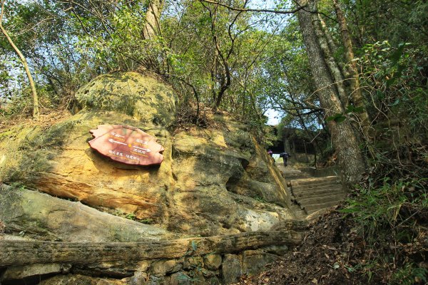 神奇美丽的张家界,张家界大自然仙境长视频