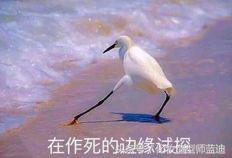 男生眉毛怎么修剪变帅气,男生眉毛如何变得好看