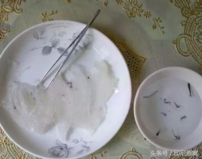 怎样快速去除燕窝里的燕毛,燕窝如何快速挑燕毛