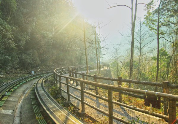 神奇美丽的张家界,张家界大自然仙境长视频