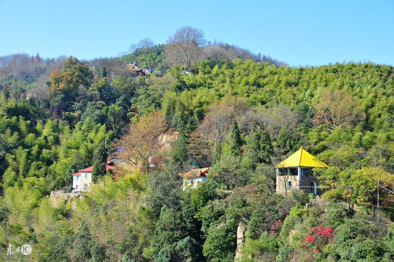 *粟罂**+和尚+人妖，金三角值得你了解更多