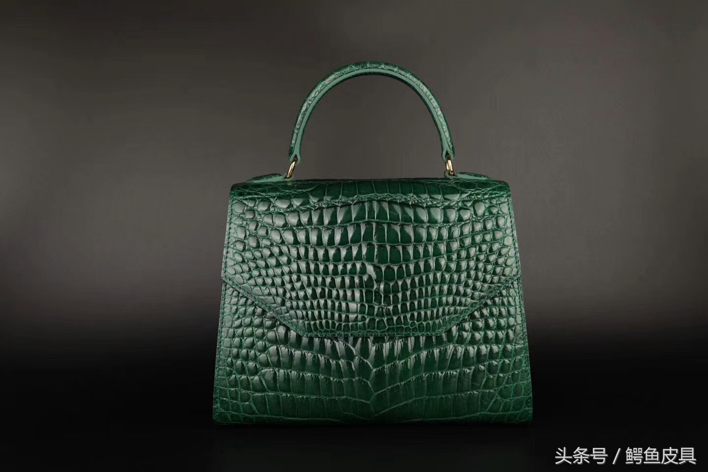 鳄鱼皮种类图片大全,喜马拉雅鳄鱼皮种类