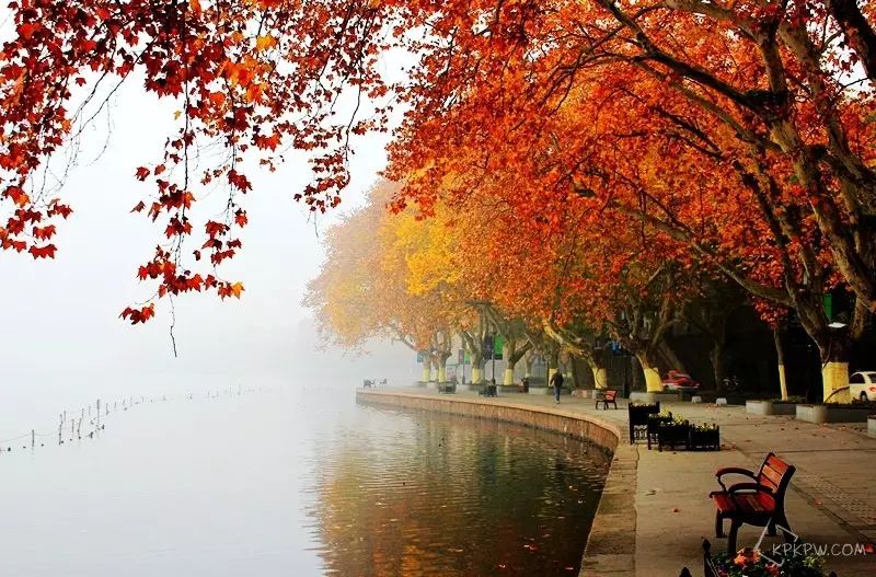 2018年浙江地方景点旅游日历大合集！含杭州，建德，温州，金华！