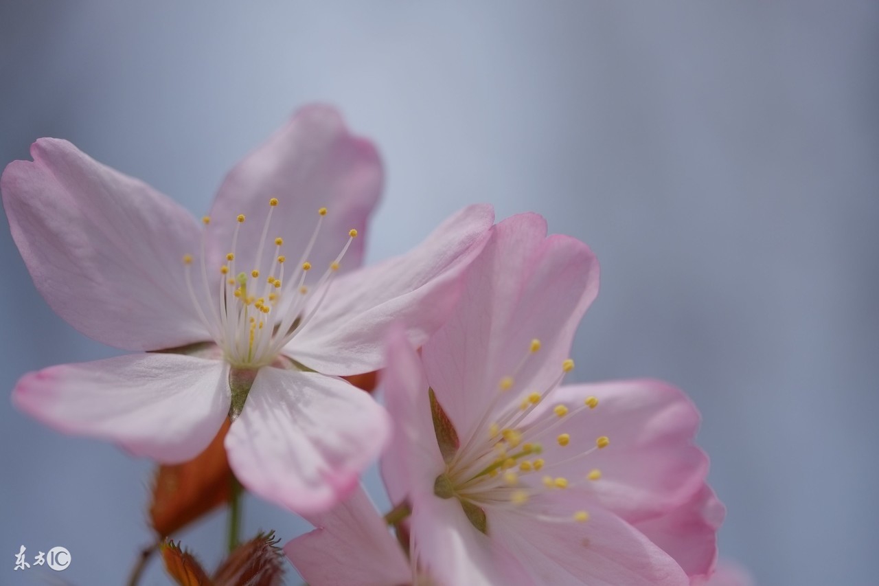 感慨历史变迁的古诗名句,表达岁月沧桑的古诗句大全