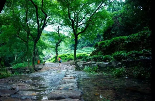 2018年浙江地方景点旅游日历大合集！含杭州，建德，温州，金华！