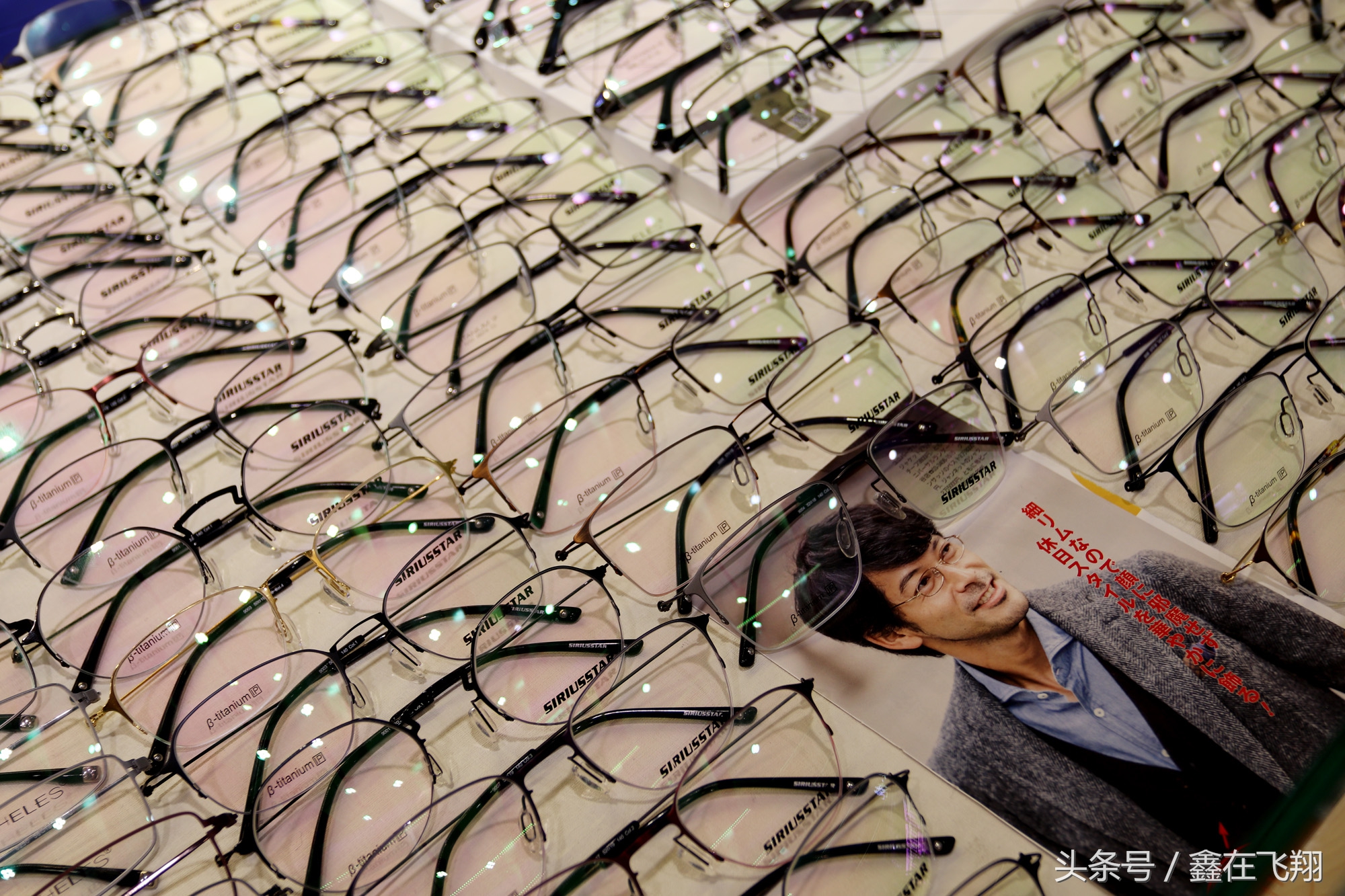 万千款式挑花眼，角川品牌亮出镜——纽丽维