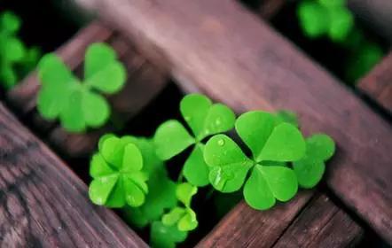 焦虑强迫失眠,强迫恐惧焦虑多疑失眠