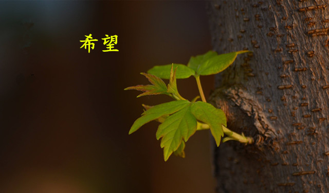 困扰多年的颈椎病终于有所改善,多年的颈椎病终于好了