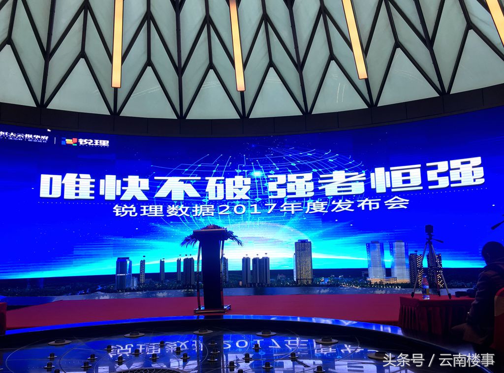 锐理数据5月份,锐理数据官网