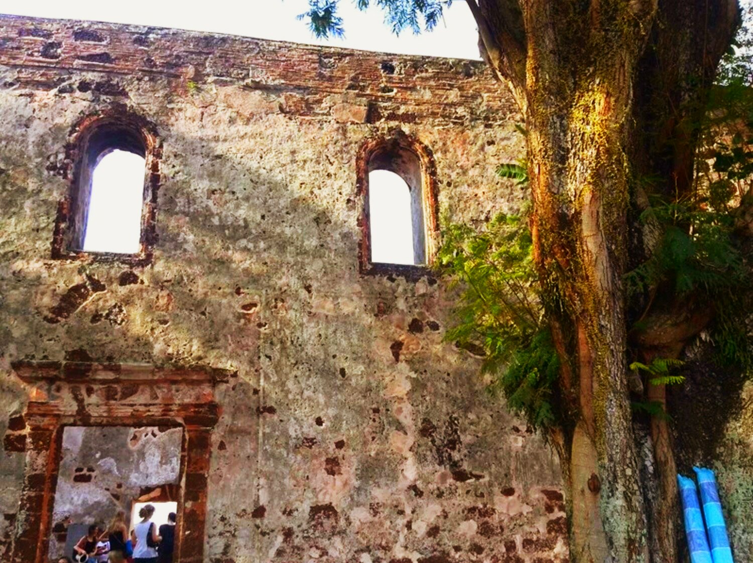 白本护照如何走遍全世界,护照白本推荐国家