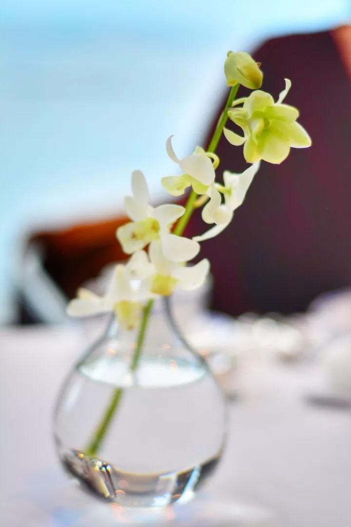 最贵的西餐大概多少钱,100元吃豪华大餐