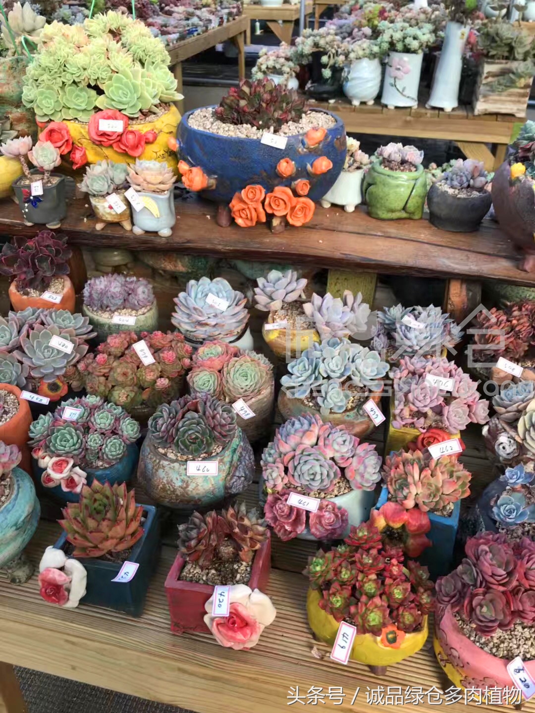 满足你对的所有幻想,满足你对生活所有的想象