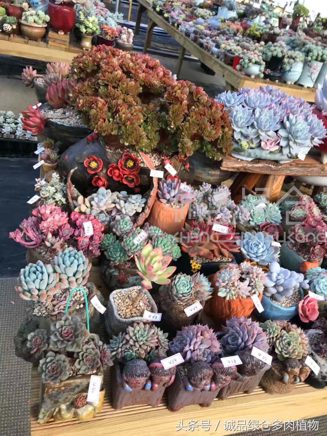 满足你对的所有幻想,满足你对生活所有的想象