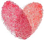 泰安万达嘉华酒店婚宴礼遇,嘉华宴喜宴怎么样