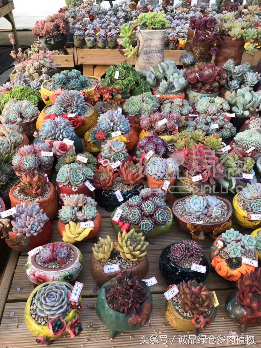 满足你对的所有幻想,满足你对生活所有的想象