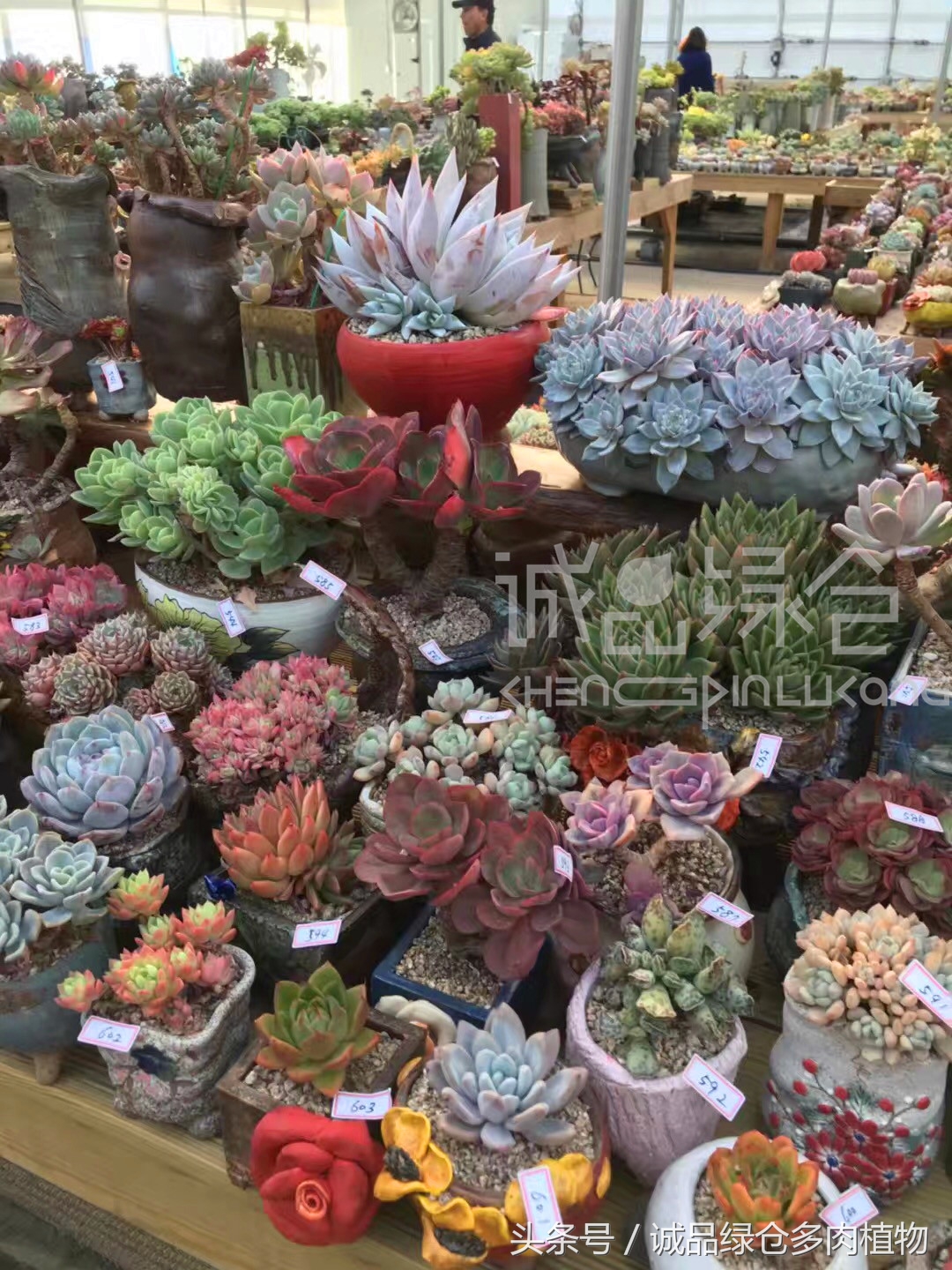 满足你对的所有幻想,满足你对生活所有的想象