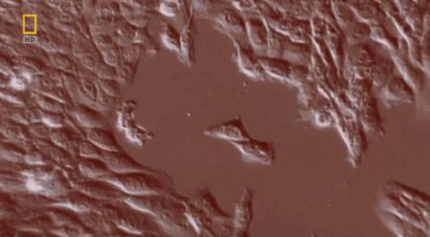 卵子和精子相遇……怎么就变成小孩了？