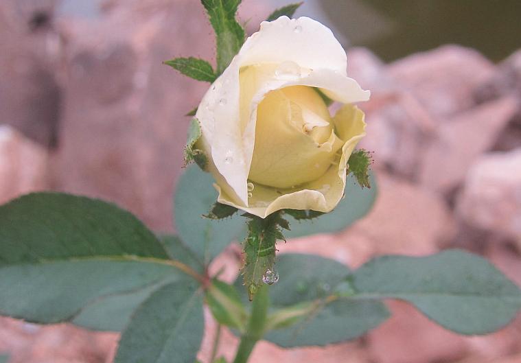 遇到吹毛求疵的老板怎么办,遇到一个吹毛求疵的上司该如何